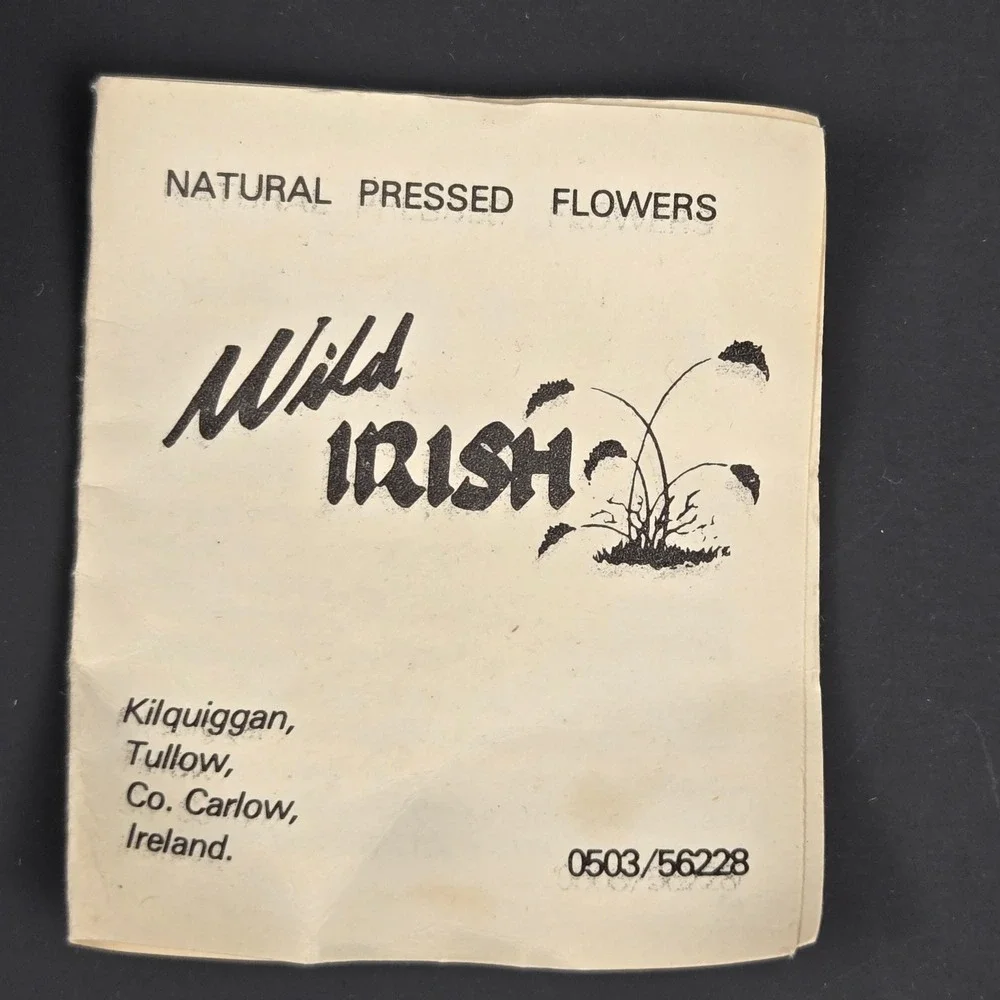 Wild Irish Hand Turned Wood Trinket Box Natural Pressed Flowers Ireland 5 Inch